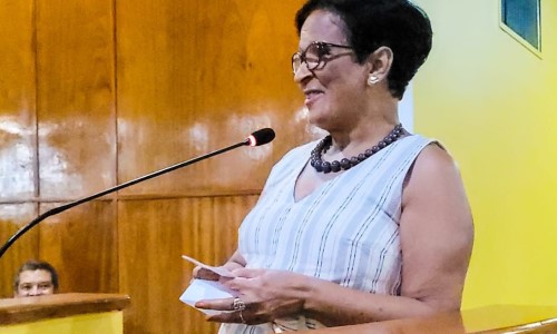 Vice-prefeita de Pinheiral é homenageada na Câmara de VR por serviços na educação e atuação política